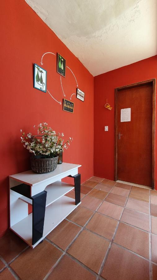 Gato Do Mato Hostel Cumbuco Dış mekan fotoğraf