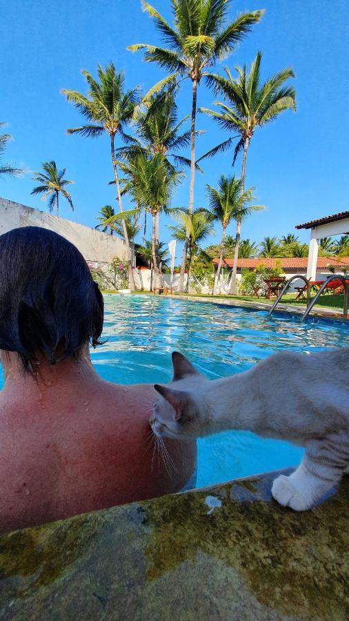 Gato Do Mato Hostel Cumbuco Dış mekan fotoğraf