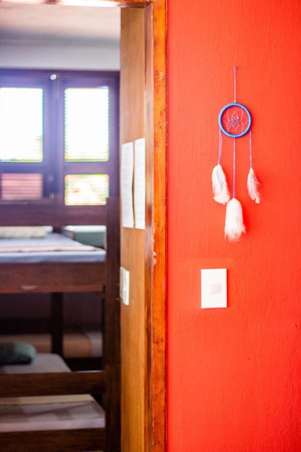 Gato Do Mato Hostel Cumbuco Dış mekan fotoğraf