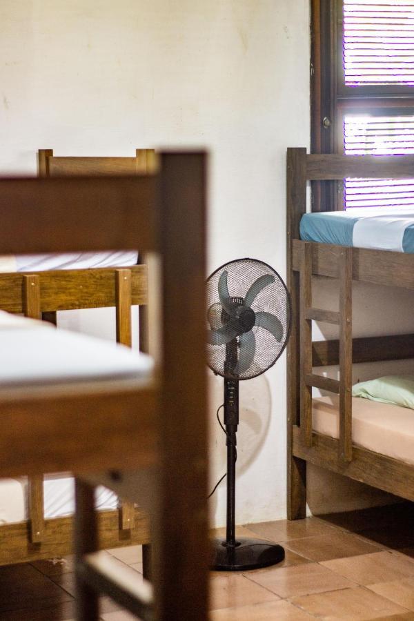 Gato Do Mato Hostel Cumbuco Dış mekan fotoğraf