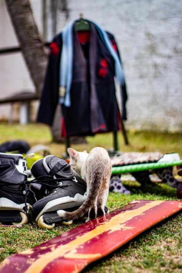 Gato Do Mato Hostel Cumbuco Dış mekan fotoğraf
